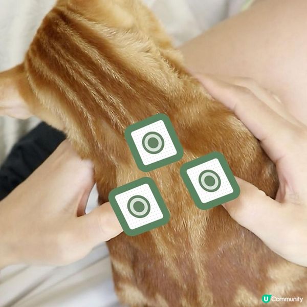 【中醫冷知識-天灸穴位】天灸成日見到呢三個位有咩用？？