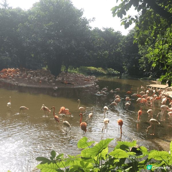 鐘意睇動物嘅老友唔好錯過，大量野生瀕臨絕種動物供欣賞，措施安...