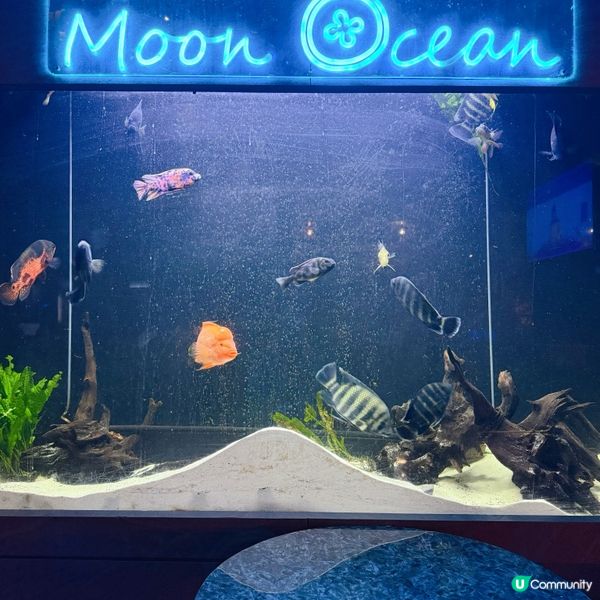 ✨品味醬酒新體驗|浪漫夜晚就在 Moon Ocean✨