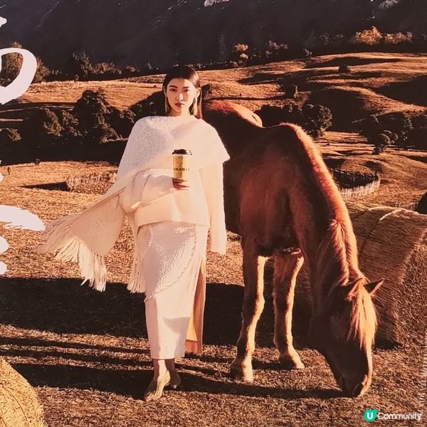 ## 深圳必飲霸王茶姬新茶🍵晴山栖谷好出色👍💯💜