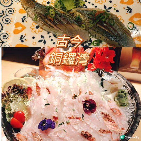 銅鑼灣居酒屋「古今」🏮  環境寬敞，日式風情滿滿！