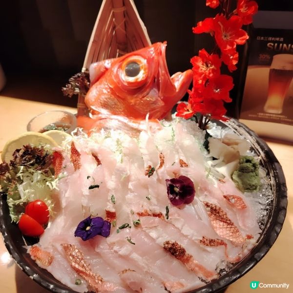 銅鑼灣居酒屋「古今」🏮  環境寬敞，日式風情滿滿！