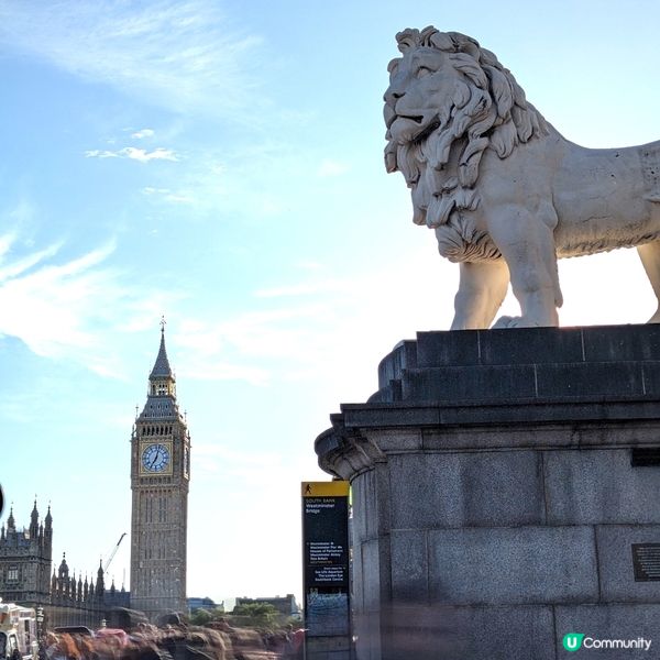 🐤當大笨鐘遇上獅子