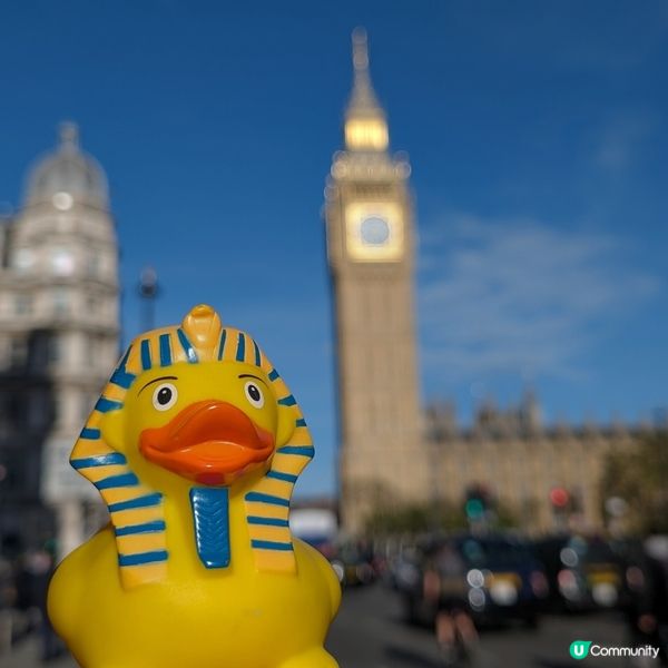 🐤當大笨鐘和西敏寺一起自拍