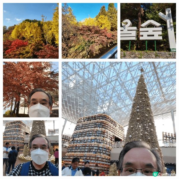 紅葉遍山嶺，到處皆是靚景點。