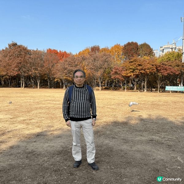 紅葉遍山嶺，到處皆是靚景點。