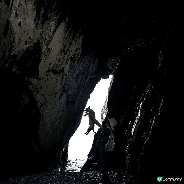 鶴咀係BB班行山路線，可以同狗狗郊遊打靚卡，周末比狗狗放電非...