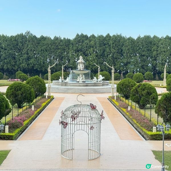 南投🎢九族文化村玩到癲🎠