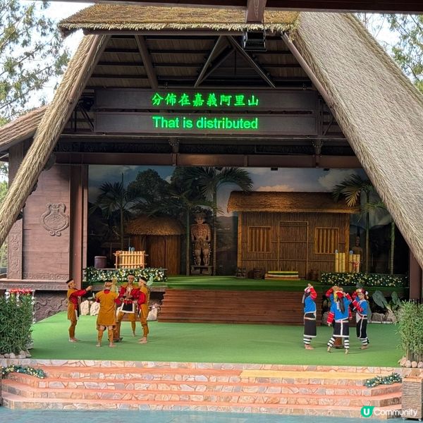 南投🎢九族文化村玩到癲🎠