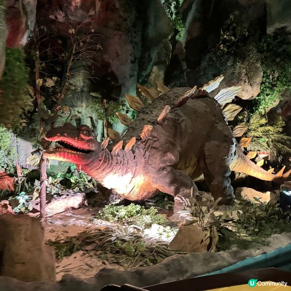 南投🎢九族文化村玩到癲🎠