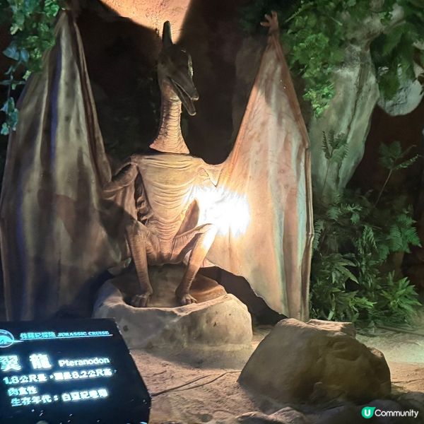 南投🎢九族文化村玩到癲🎠