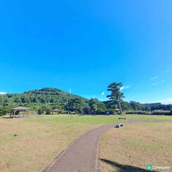 濟洲島涉地可支🏞️獨立岩📸風之山坡Boromwat🌁方舟教堂👣熱門打卡景點介紹👍