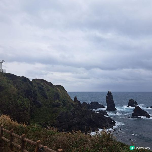 濟洲島涉地可支🏞️獨立岩📸風之山坡Boromwat🌁方舟教堂👣熱門打卡景點介紹👍