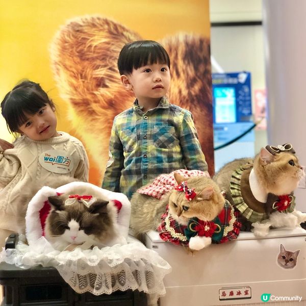 獅子王木法沙大電影@圍方