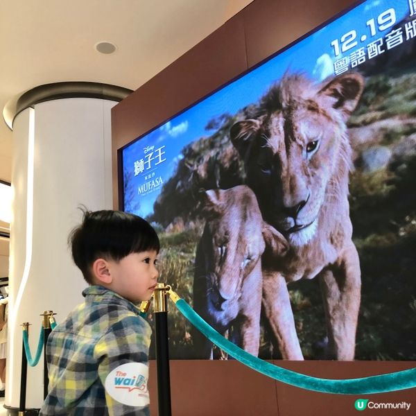 獅子王木法沙大電影@圍方