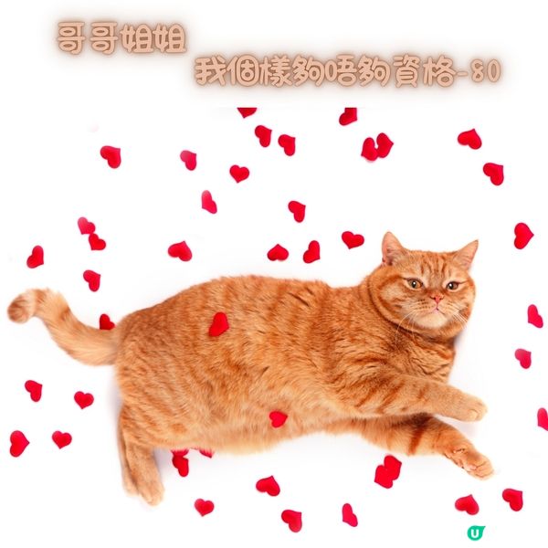 既然生得標青就可以勁減80萬💰