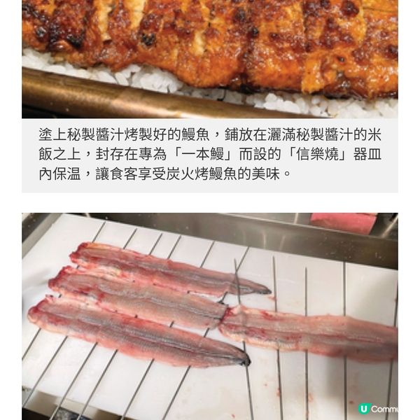 名古屋鰻魚名牌四代目菊川首進 駐香港 秘製醬汁烤製肥美一本鰻