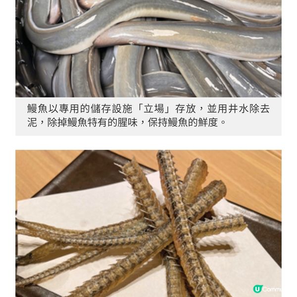 名古屋鰻魚名牌四代目菊川首進 駐香港 秘製醬汁烤製肥美一本鰻