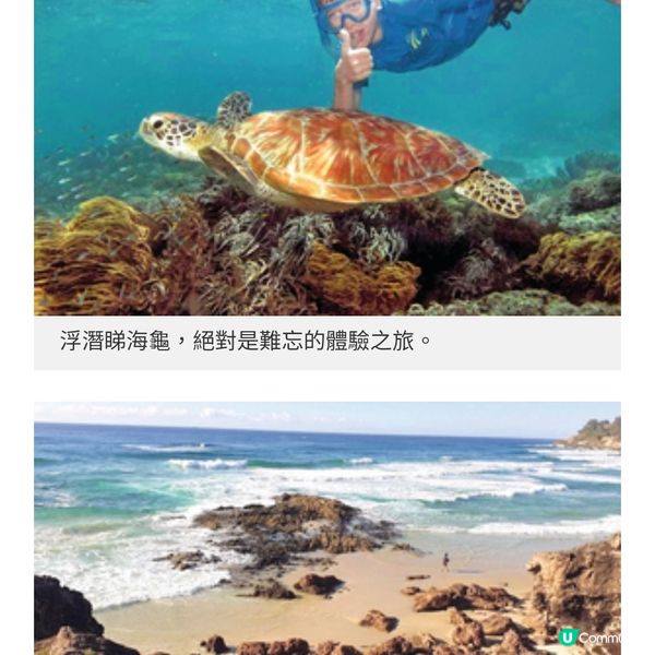 余文樂澳洲《與天地對話》大堡礁海洋探索體驗之旅