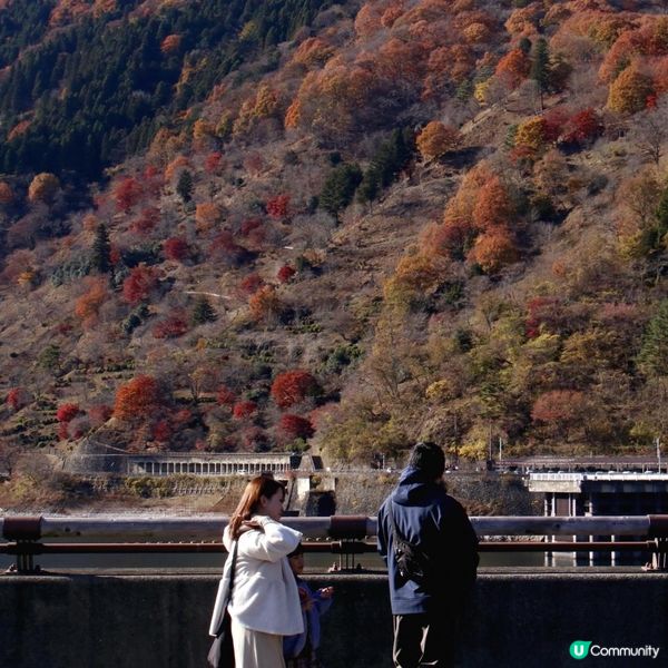 東京近郊/奧多摩湖紅葉