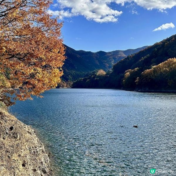 東京近郊/奧多摩湖紅葉