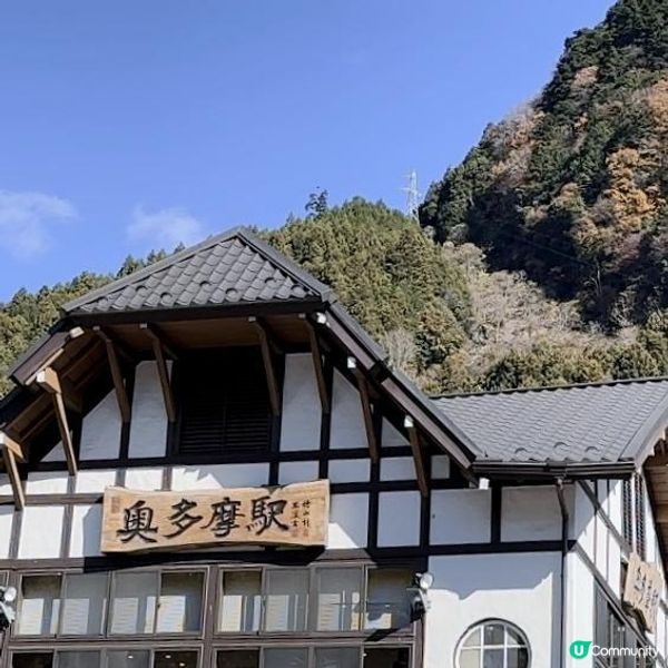 東京近郊/奧多摩湖紅葉