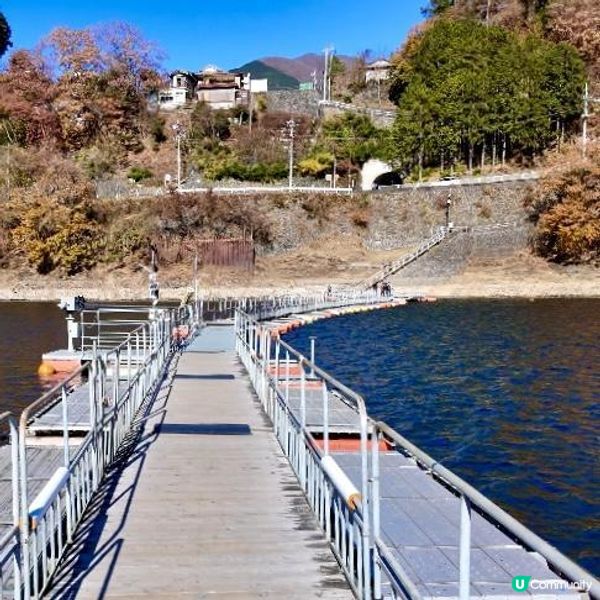 東京近郊/奧多摩湖紅葉