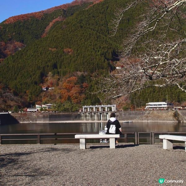 東京近郊/奧多摩湖紅葉