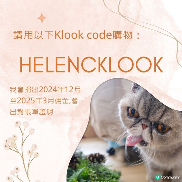 聖誕救貓貓 🎄🐱