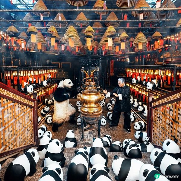 一代武打傳奇洪金寶遇上「功夫熊貓s」？！🔥