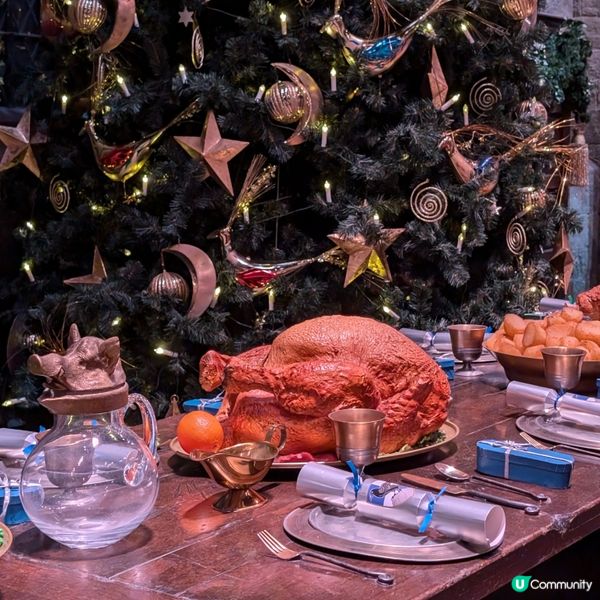 🐤置身魔法世界的聖誕大餐 ✨