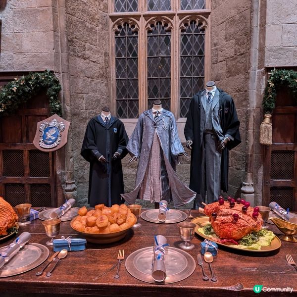 🐤置身魔法世界的聖誕大餐 ✨