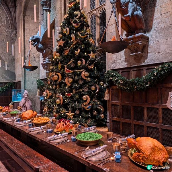 🐤置身魔法世界的聖誕大餐 ✨