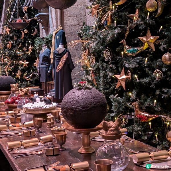 🐤置身魔法世界的聖誕大餐 ✨