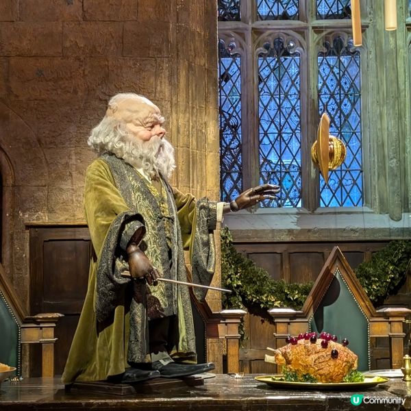 🐤置身魔法世界的聖誕大餐 ✨