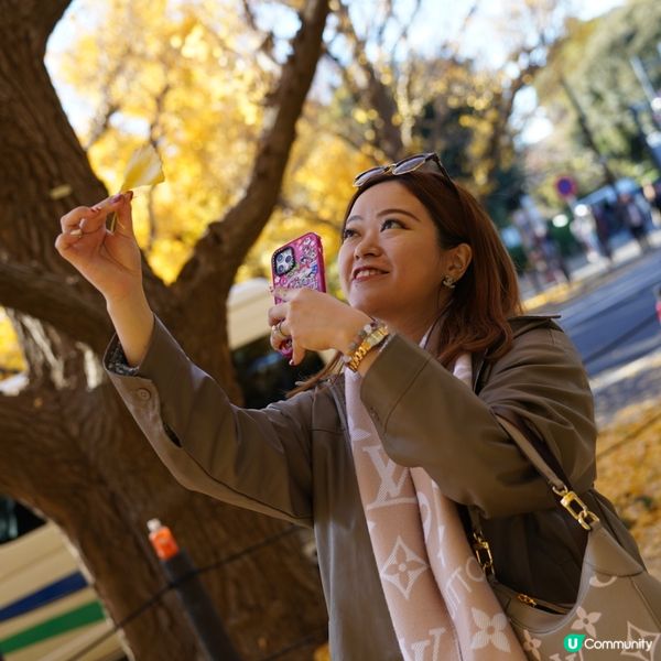 東京銀杏大道📸金黃閃耀 ✨
