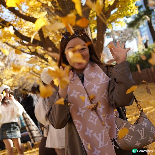 東京銀杏大道📸金黃閃耀 ✨