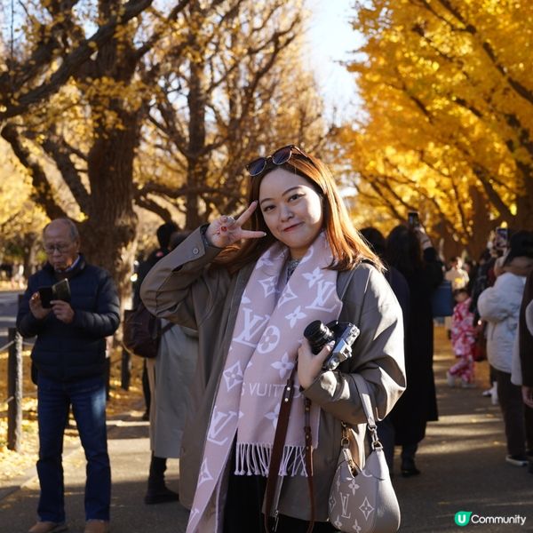 東京銀杏大道📸金黃閃耀 ✨