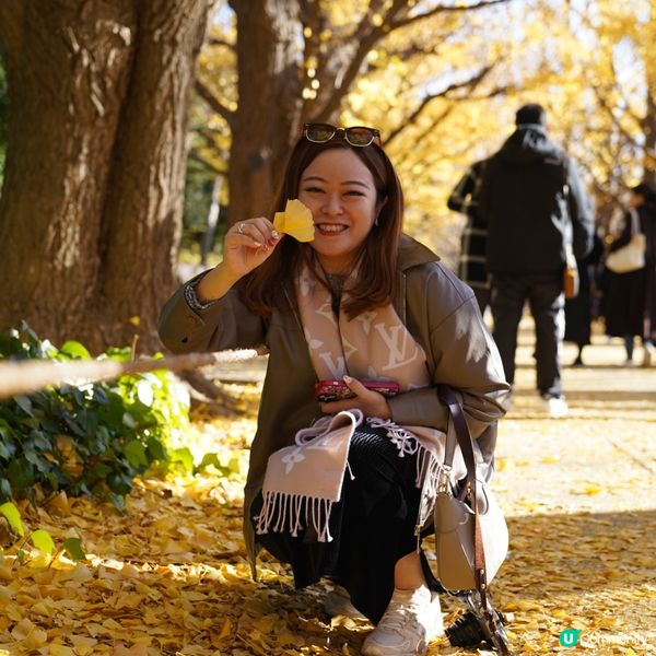 東京銀杏大道📸金黃閃耀 ✨