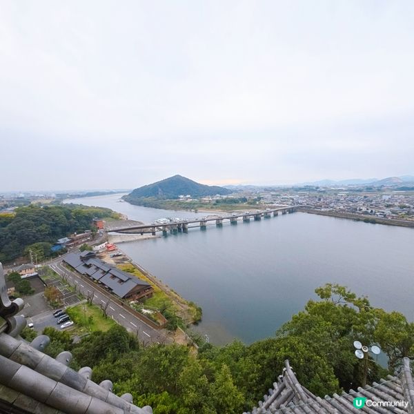 犬山城頂樓觀看絕景🏞🏞
