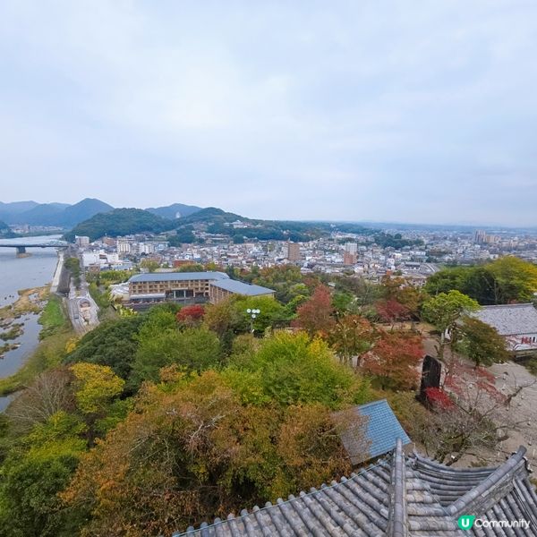 犬山城頂樓觀看絕景🏞🏞