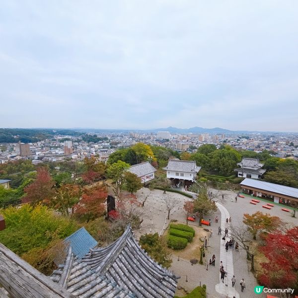 犬山城頂樓觀看絕景🏞🏞
