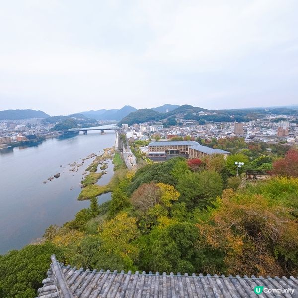 犬山城頂樓觀看絕景🏞🏞