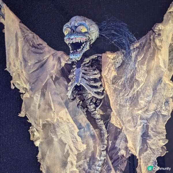 🐤走入鬼才Tim Burton既內心世界