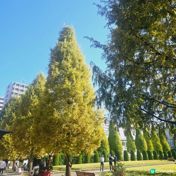 紅磚牆點影都好靚