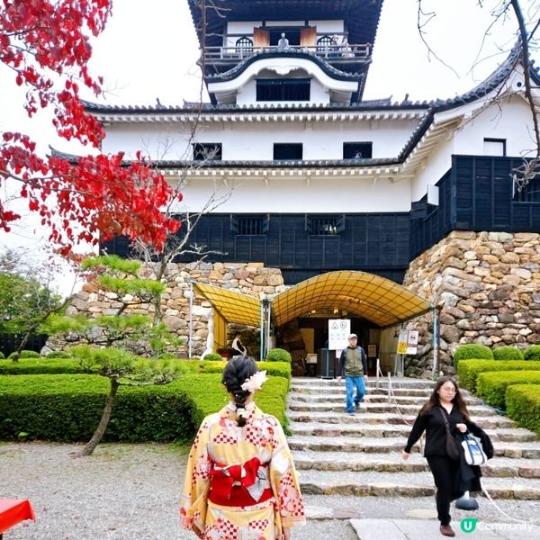 和服與國寶犬山城體驗