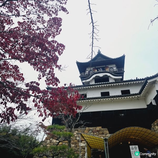 推薦買：犬山城下町套票