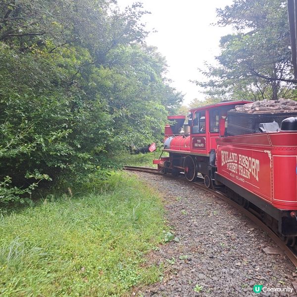 濟洲島ECOLAND森林小火車🚂涯月漢潭海邊步道長廊📸