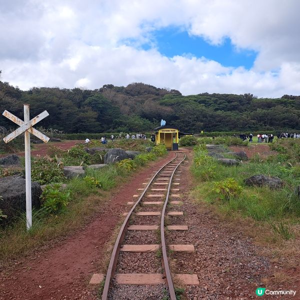 濟洲島ECOLAND森林小火車🚂涯月漢潭海邊步道長廊📸