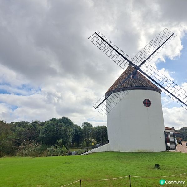 濟洲島ECOLAND森林小火車🚂涯月漢潭海邊步道長廊📸
